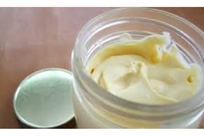 homemade-mayonnaise