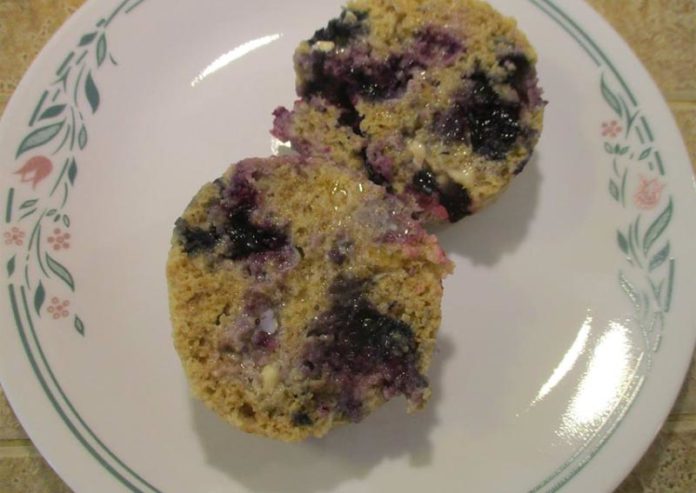 blueberry-applesauce-mug-muffin